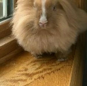 Meet your Posher, Natali